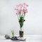 2 Pack 33" Silk Chrysanthemum Flower Bushes Artificial Mum Sprays for Wedding Party Home Decor